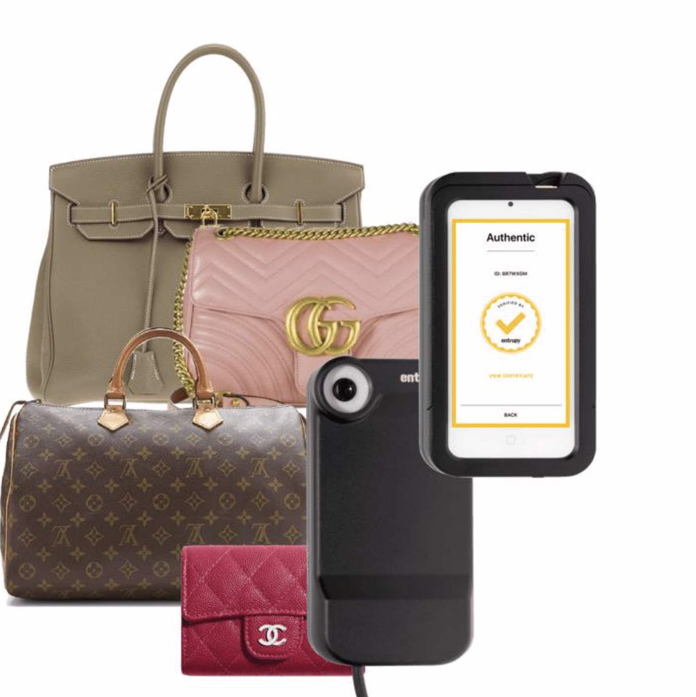 May 17th: Free Handbag Authentication & Certificate - Uptown Cheapskate  Tampa Florida